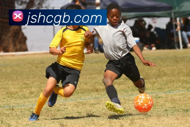 星空链接官网品牌故事