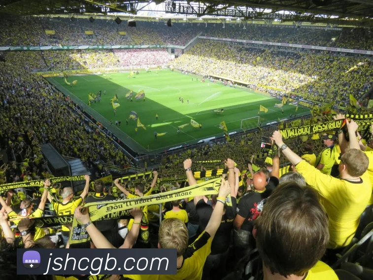 星空链接官网APP 体育赛事宣传图